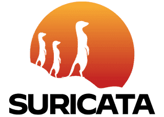 Inicio 3 Suricata – sistema de detección de intrusiones